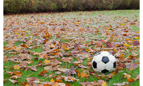 TVSA Fall 2023 Registration Now Open!